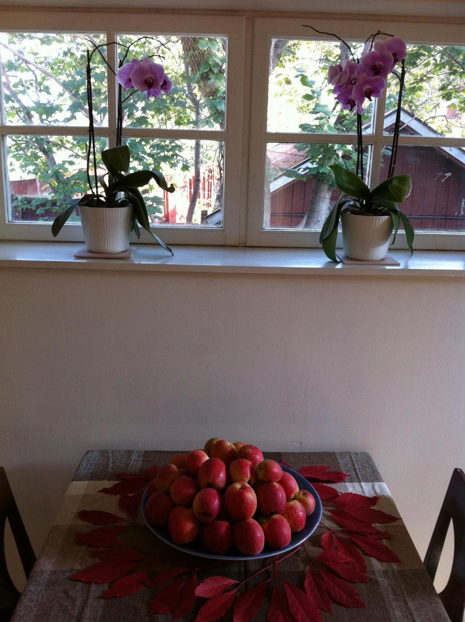 Stockholm B&B Cottage Nacka Rum bild